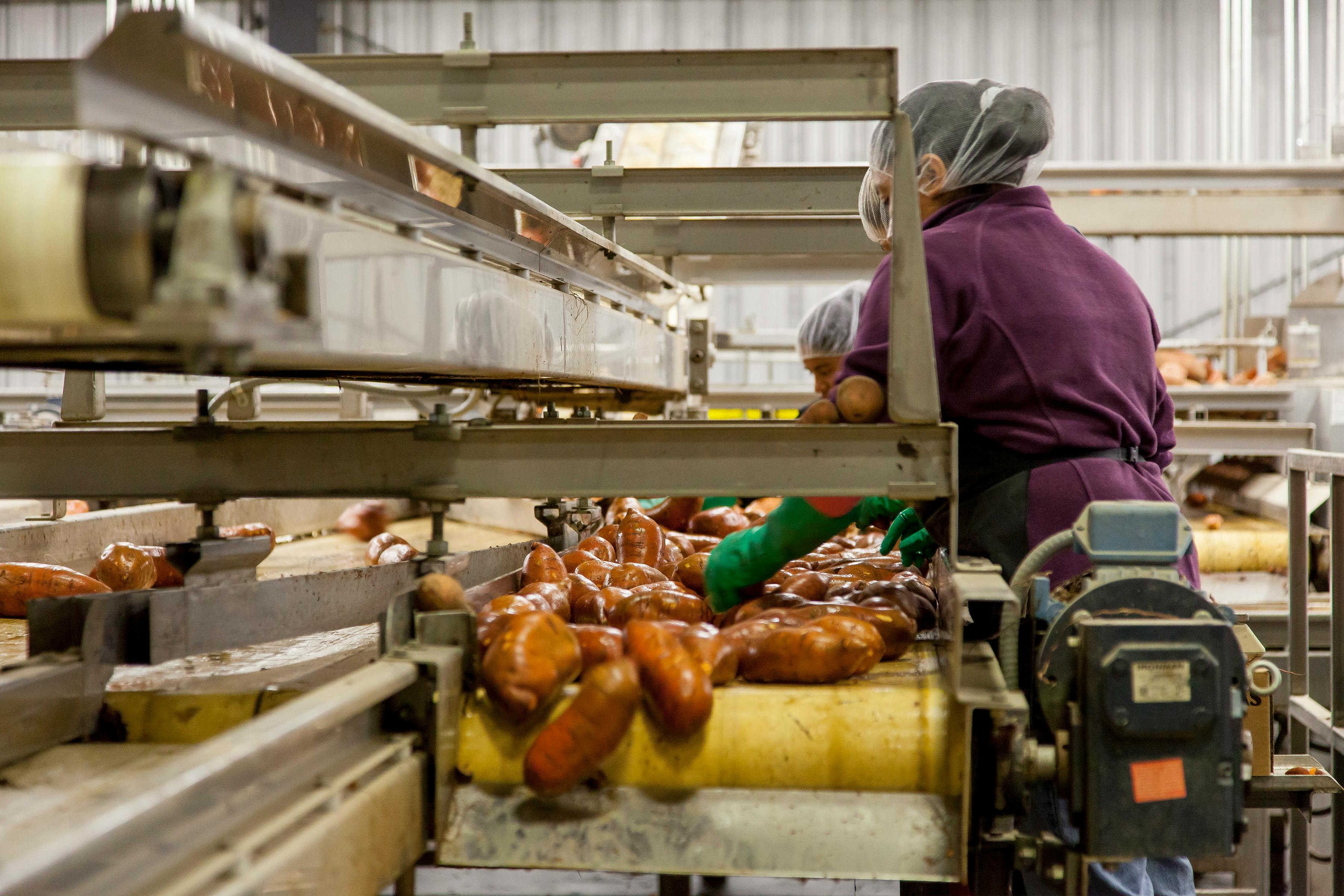 Beverage bottling and packaging line in a modern food production facility