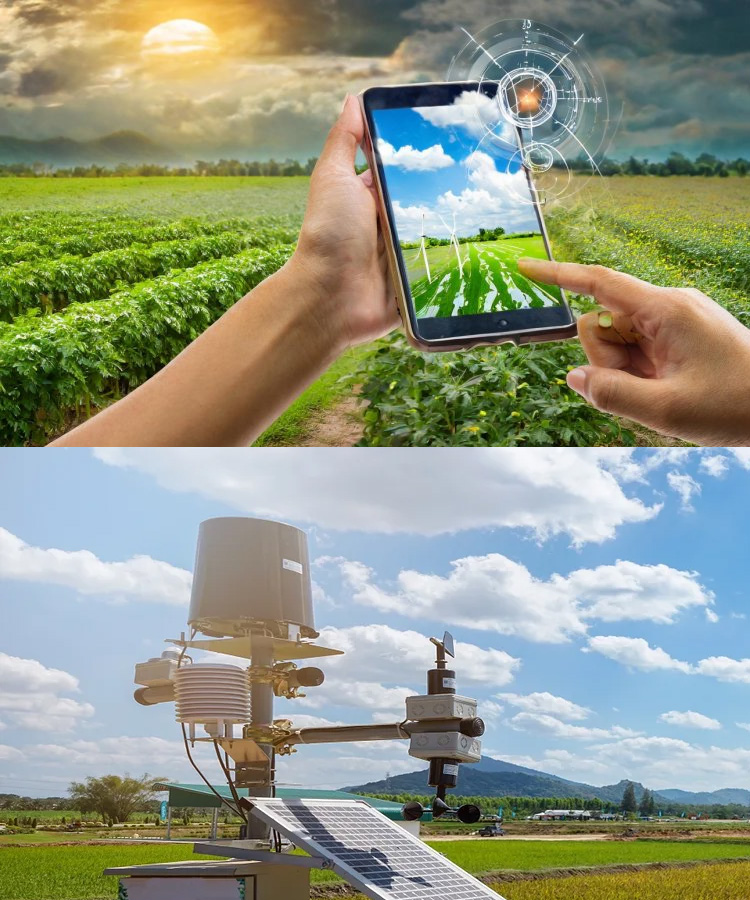 AI Surveillance Rice Mill Case Study